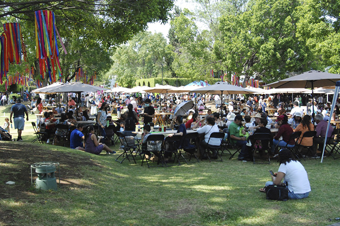 Hoy arranca el Festival Michoacán de Origen 2023; Maldita Vecindad y la Santanera abren conciertos