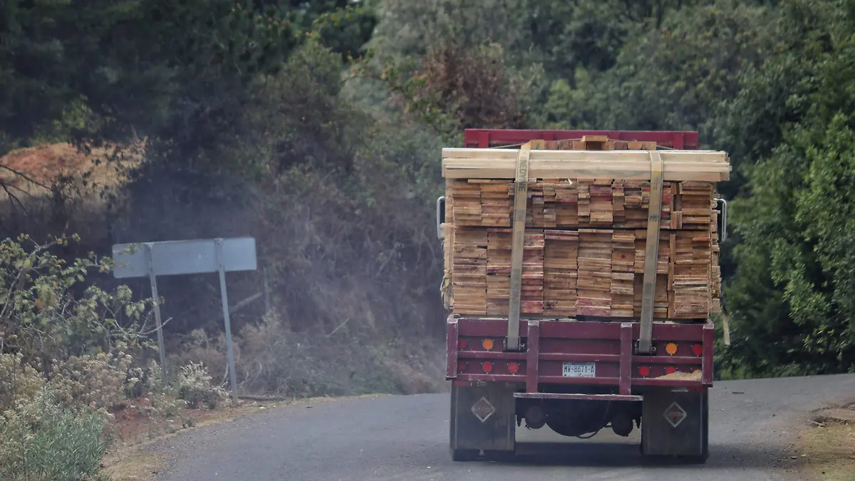 En proceso, 27 denuncias por transporte de madera ilegal en Michoacán