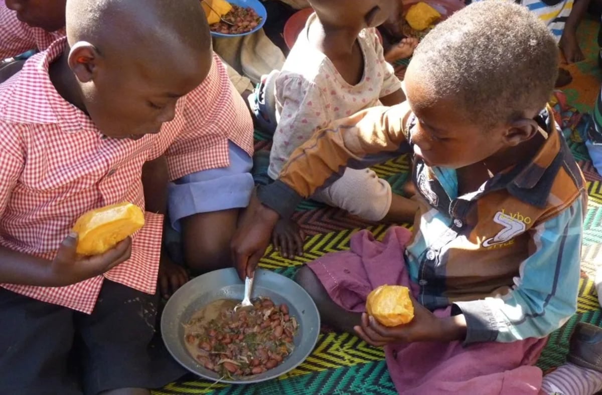 Alerta global: ¿Por qué mueren casi 5 millones de niños menores de 5 años cada año?